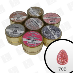 Painting Gel Platinum - Color # 70B