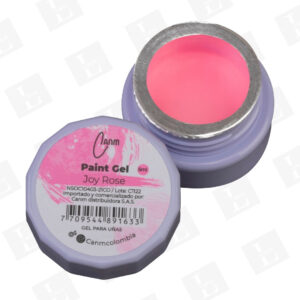 Paint Gel Canm - Color Joy Rose
