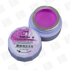 Paint Gel Canm - Color Ciruela del Campo